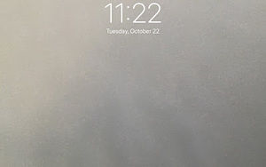 Meet your Posher, Sam